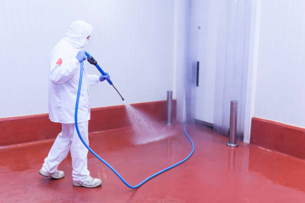 Boat and Dock Cleaning in Rancho Cordova, CA